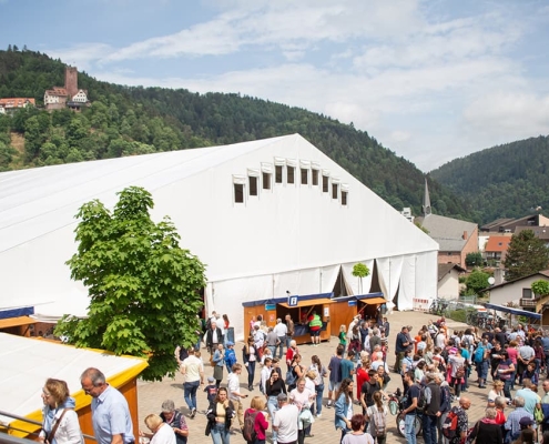 pfingstmissionsfest-zum-thema-„himmel:reich“